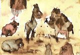 animals